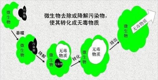 微信截圖_20180926102140.jpg