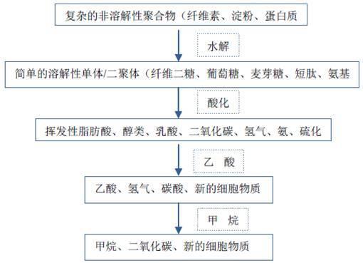 污泥厭氧處理流程